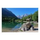 Search for gora Kranjska gora