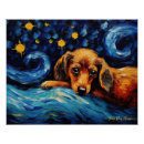 Search for doxies posters Dogs