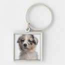 Search for merle key rings Australian shepherd