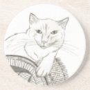 Search for ragdoll coasters Animal