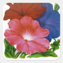 Search for petunia stickers Garden