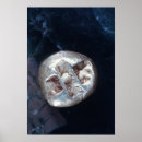 Search for bcs posters 06th