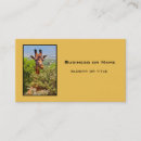 Search for above business cards Nature
