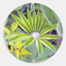 Search for rain water stickers Cool