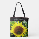 Search for flying dragons bags Black