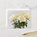 Search for white rose postcards Beautiful