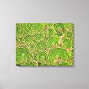 Search for new life canvas prints Nature