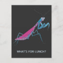 Search for entomology postcards Bug