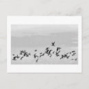 Search for bird flight postcards Birds