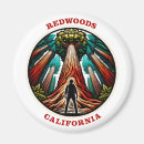 Search for redwood national park magnets Camping