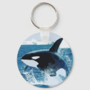 Search for orca whales key rings Illustration