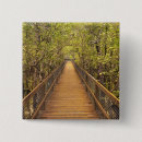 Search for rainforest badges Outdoors