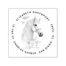 Search for thoroughbred cards invites Equine