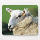 Search for sheep mouse mats ewe