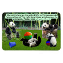 Search for panda magnets Bamboo