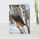 Search for birch cards Photography