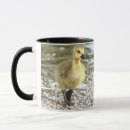 Search for gosling mugs Wildlife