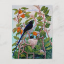 Search for bird of paradise postcards Nature