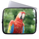 Search for macaw electronics Feathers
