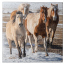 Search for herd the tiles Horse