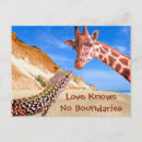 Search for giraffe sayings postcards Humour