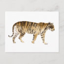 Search for sketch horizontal postcards Watercolor