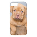 Search for bordeaux iphone cases Dog