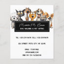 Search for cat flyers Animal care