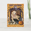 Search for golden retriever halloween cards Pumpkin