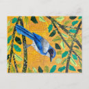 Search for scrub postcards Bird