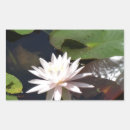 Search for water plant stickers Flower