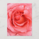 Search for droplets postcards Bloom