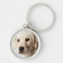 Search for golden labrador key rings Pet