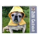 Search for french bulldog calendars Pug