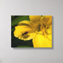 Search for macro canvas prints Close up