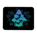 Search for toadstools magnets Mushrooms