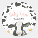 Search for holy cow stickers Pink