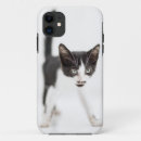 Search for cute baby kitten iphone cases Vertical
