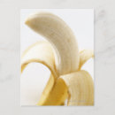 Search for yellow bananas postcards Food