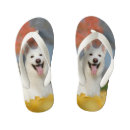 Search for furry shoes Animal