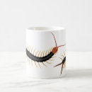 Search for phobia mugs Insects