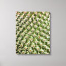 Search for macro canvas prints Photography