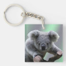 Search for australian koala key rings Koalas