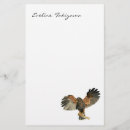 Search for hawk Raptors