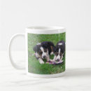Search for english shepherd mugs Puppies