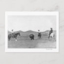 Search for cowboy postcards Photograph