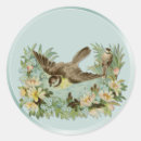 Search for marsh stickers Pond