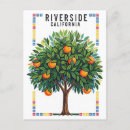 Search for riverside vertical postcards Travel
