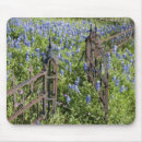 Search for abundant mouse mats Colourful