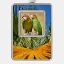 Search for conure christmas tree decorations Parakeet
